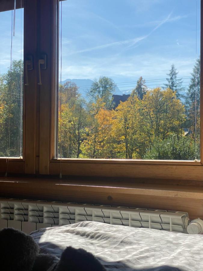 Hostel Regionalny ザコパネ エクステリア 写真